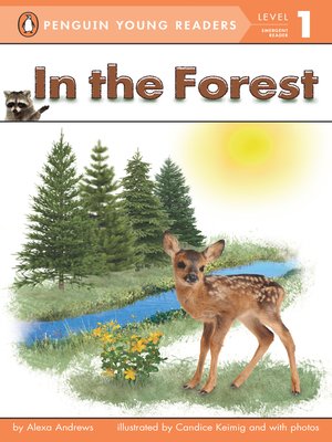 cover image of In the Forest
